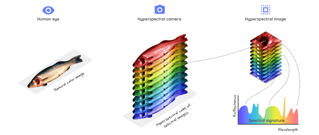 Lessons in Lenses – Mountainwatch Review A Rainbow Of Goggle Lenses – Oakley  PRIZM Tech