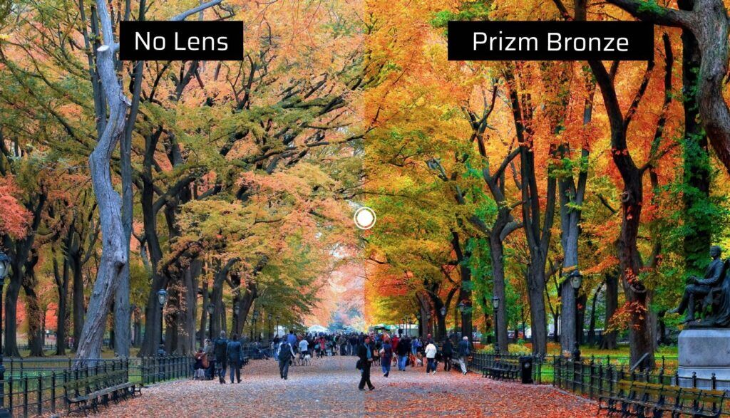 zelf nadering Koken Oakley Prizm Bronze Lens | Review & Guide | Oakley Forum