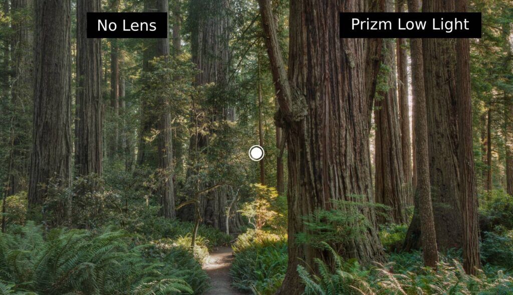 Oakley Prizm Low Light Lens | Review u0026 Guide | Oakley Forum