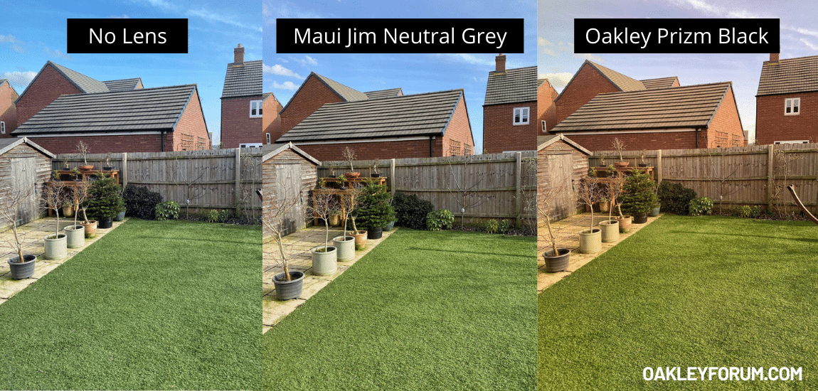 Maui Jim vs. Oakley Sunglasses SidebySide Comparison